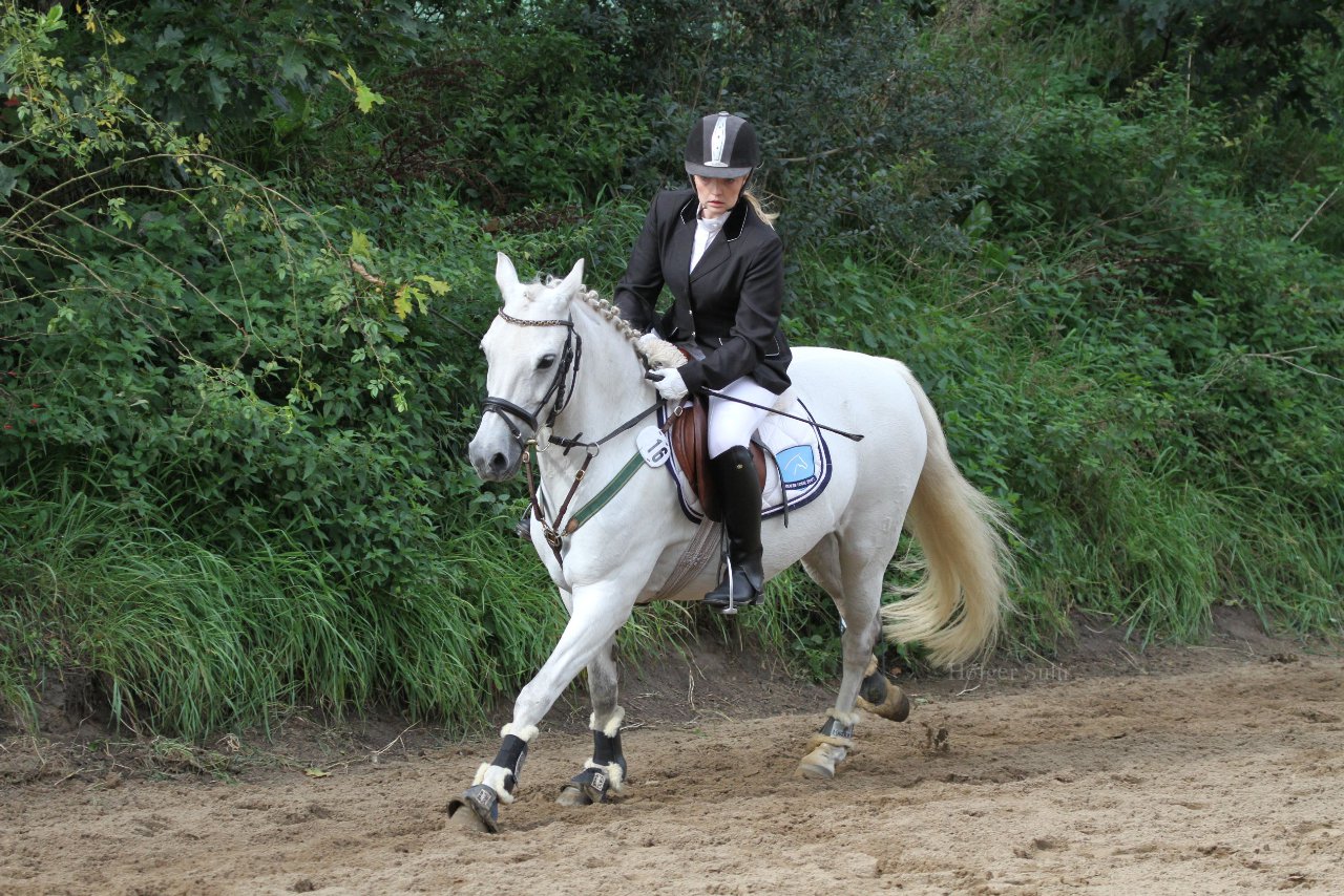 Bild 1245 - WBO-Turnier am 18.9.11